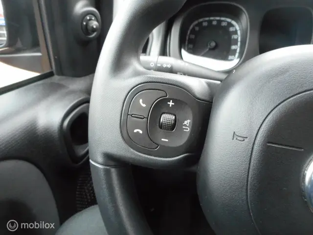 Fiat Panda 1.2 Lounge 2020 Benzine 23