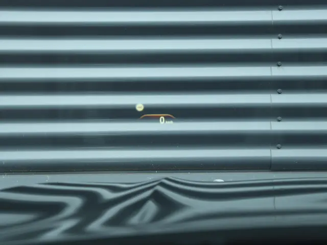 BMW X4 xDrive20i 2020 Benzine 31