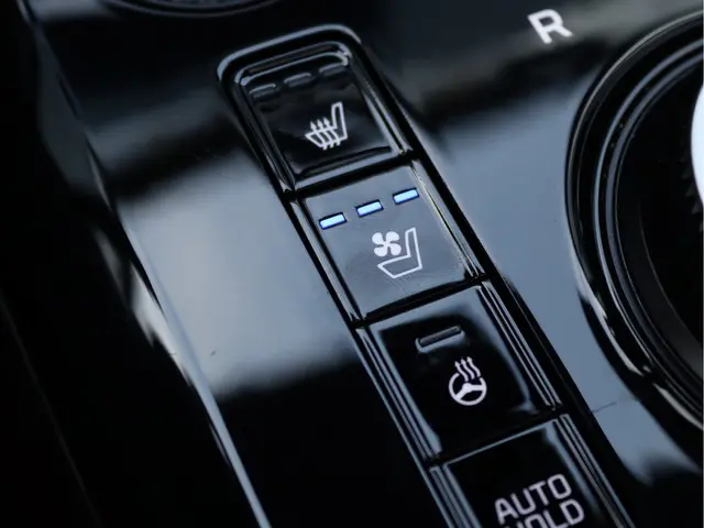 Kia Niro EV ExecutiveLine 64.8 kWh 2022 Elektrisch 75