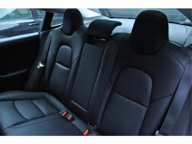 Tesla Model 3 Standard RWD Plus 60 kWh 2021 Elektrisch 11