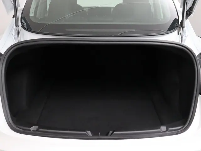 Tesla Model 3 Standard RWD Plus 60 kWh 2020 Elektrisch 8
