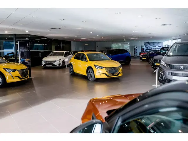 Peugeot 208 1.2 Blue Lion 2018 Benzine 38