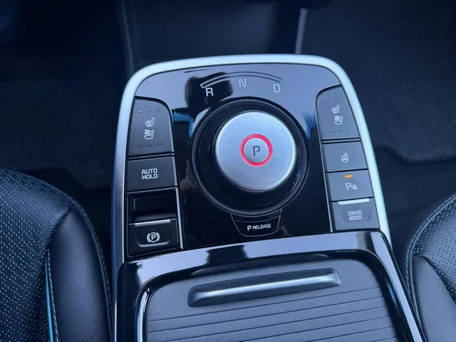 Kia e-Niro Executive 64 kWh VOL OPTIES 2022 Elektrisch 16