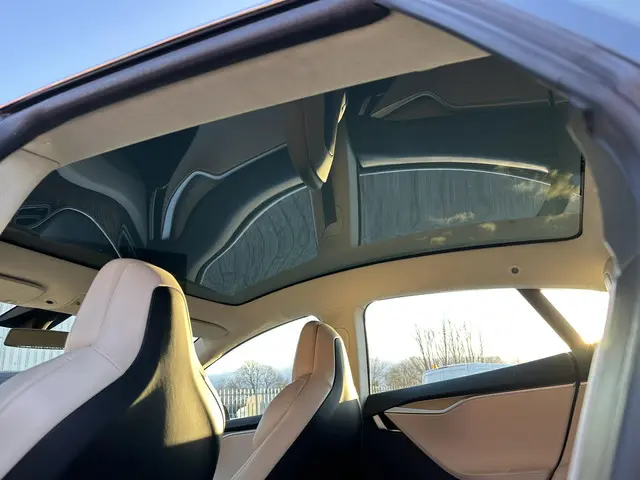 Tesla Model S 100D 2018 Elektrisch 40