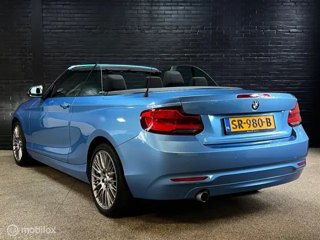 BMW 2 Serie Cabrio 218i Executive 2018 Benzine 6