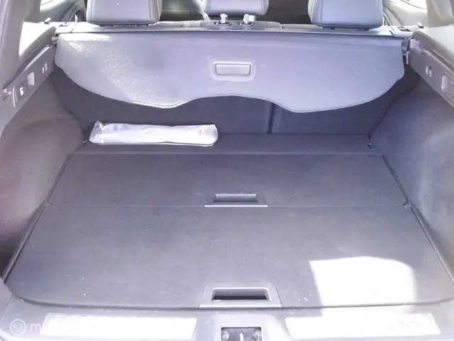 Renault Kadjar 1.2 TCe Intens 2015 Benzine 10