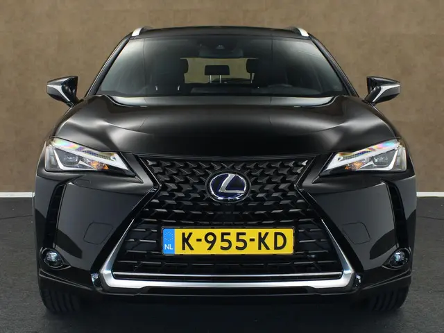 Lexus UX 300e Business 54 kWh 2020 Elektrisch 9