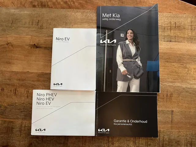 Kia e-Niro DynamicLine 64 kWh 2022 Elektrisch 40