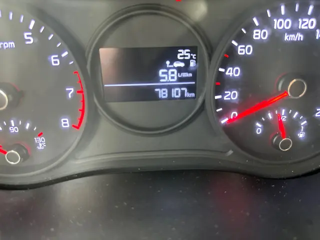 Kia Picanto 1.0 CVVT EconomyPlusLine 2019 Benzine 11