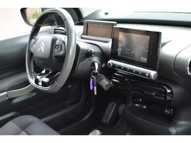 Citroën C4 Cactus 1.6 BlueHDi Business Plus 2017 Diesel 10