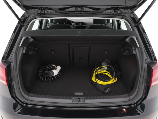 Volkswagen e-Golf E-DITION 2020 Elektrisch 10