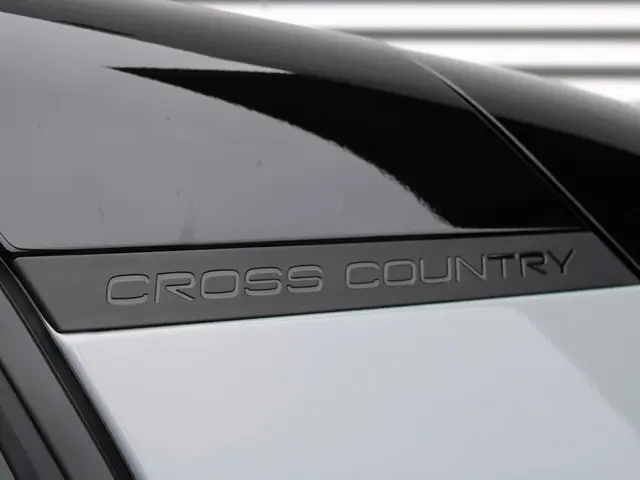 Volvo EX30 Cross Country Twin Engine 2025 Elektrisch 11