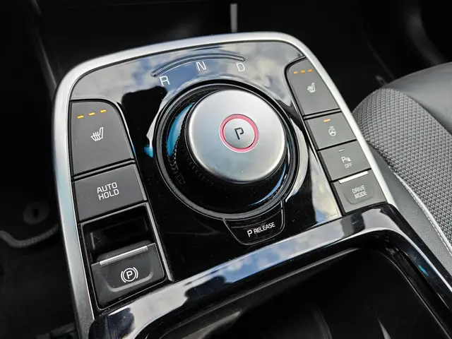 Kia e-Niro DynamicPlusLine 64 kWh 2022 Elektrisch 11