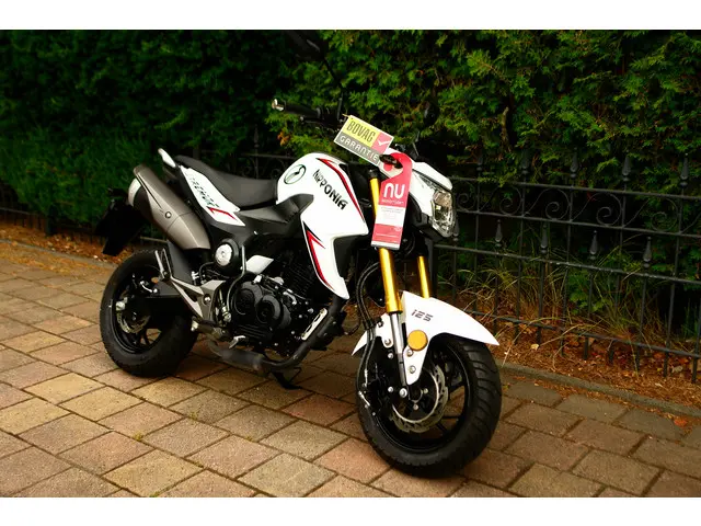 Honda Monkey GROME | 125 A1 A2 2021 Benzine 6