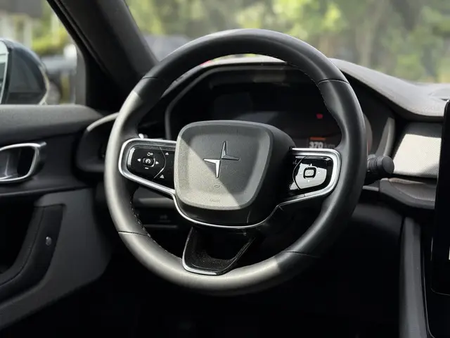 Polestar 2 Aut. Long Range Dual AWD 2020 Elektrisch 21