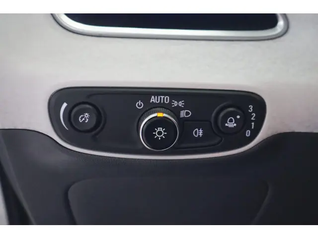 Opel Ampera-e Business executive 60 kWh 2020 Elektrisch 22