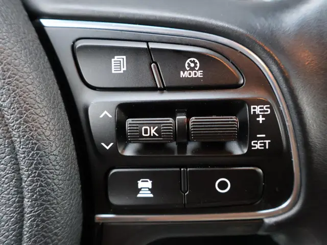 Kia e-Niro ExecutiveLine 64 kWh 2019 Elektrisch 11