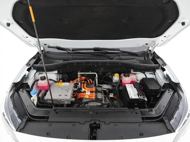 MG ZS-EV Luxury 45 kWh 2019 Elektrisch 26