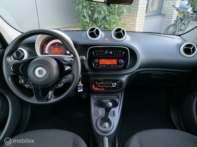 Smart Forfour 1.0 Business Solution 2018 Benzine 12