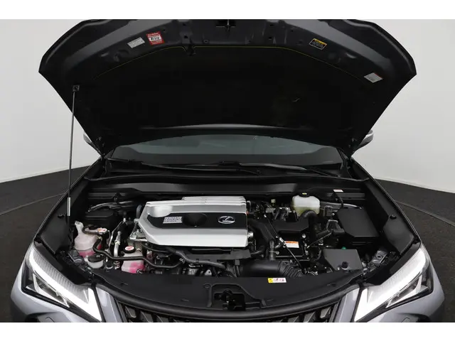 Lexus UX 250h Preference Line 2021 Hybride Benzine 39