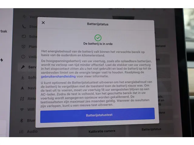 Tesla Model 3 Long Range RWD 75 kWh 2019 Elektrisch 7
