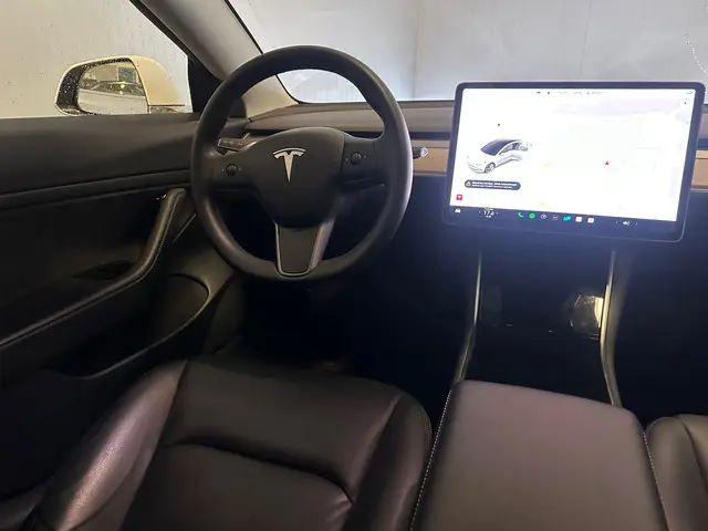 Tesla Model 3 Standard RWD Plus 60 kWh 2020 Elektrisch 15
