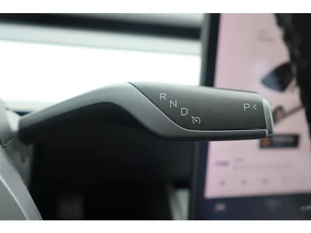Tesla Model 3 Performance AWD 75 kWh 2019 Elektrisch 28
