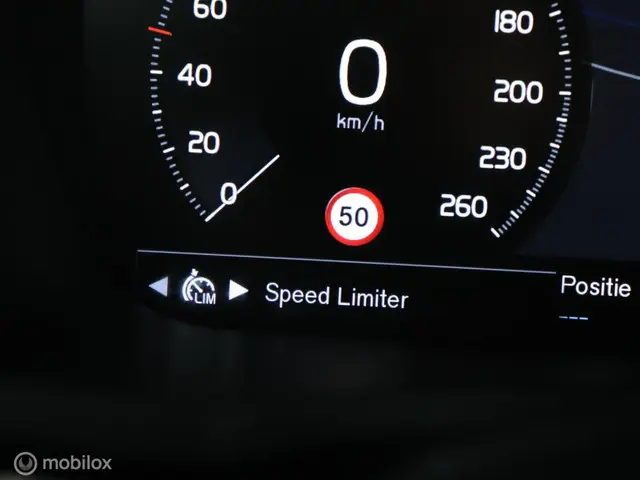 Volvo V60 2.0 T4 Inscription 2019 LPG/Gas 28