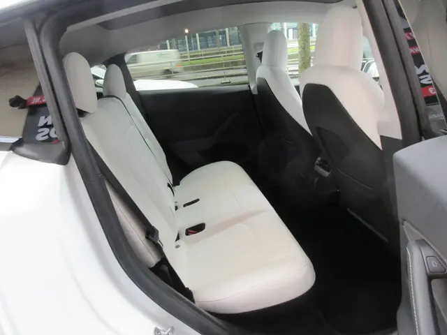 Tesla Model Y Long Range AWD 75 kWh 2021 Elektrisch 12