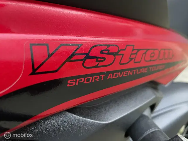 Suzuki DL 650 V-Strom ABS 2020 Benzine 11