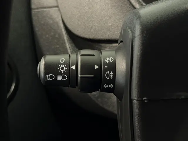 Renault Kangoo 1.5 Blue dCi 95 Work Edition 2020 Diesel 31