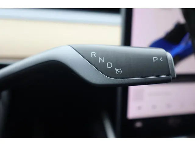 Tesla Model 3 Long Range AWD 75 kWh 2019 Elektrisch 27
