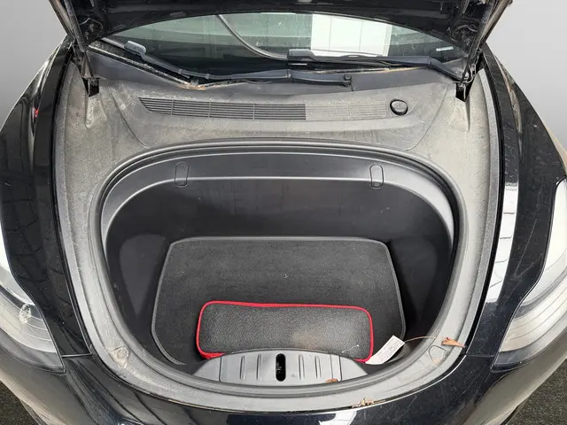 Tesla Model 3 Long Range AWD 75 kWh 2019 Elektrisch 19