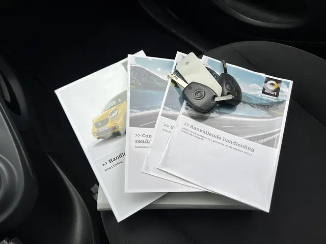 Smart Forfour 1.0 Pure 2017 Benzine 12