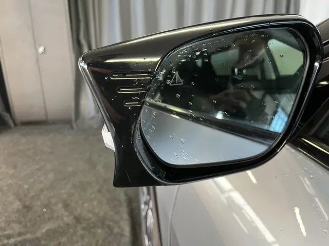 Kia EV6 Plus 77.4 kWh 2021 Elektrisch 42