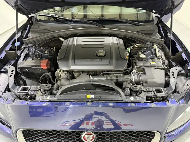 Jaguar F-PACE 2.0d Turbo Portfolio AWD Aut. 2017 Diesel 25