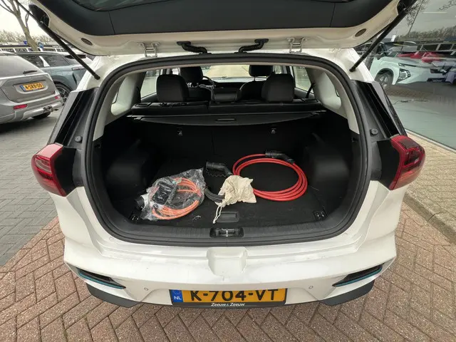 Kia e-Niro DynamicLine 64 kWh 2021 Elektrisch 11