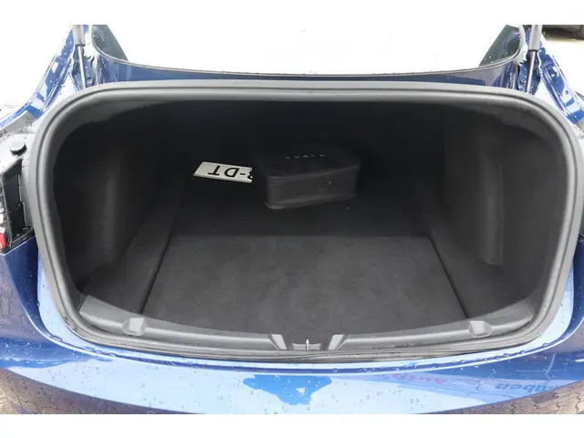 Tesla Model 3 Long Range AWD 75 kWh 2019 Elektrisch 17