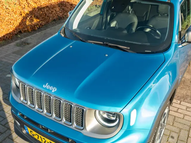 Jeep Renegade 1.3T Limited 2019 Benzine 27
