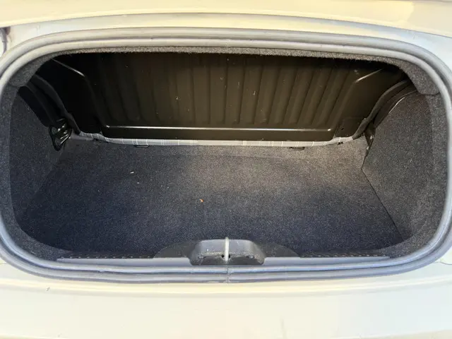 Fiat 500 1.2 Lounge 2019 Benzine 26