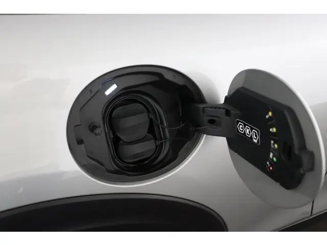 MINI Electric Mini Classic 33 kWh 2023 Elektrisch 30