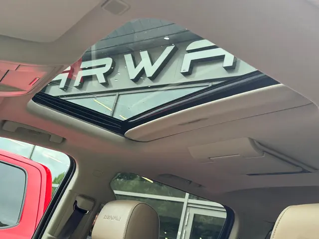 GMC Sierra 6.2 V8 Denali NL-AUTO!! 2018 LPG/Gas 11