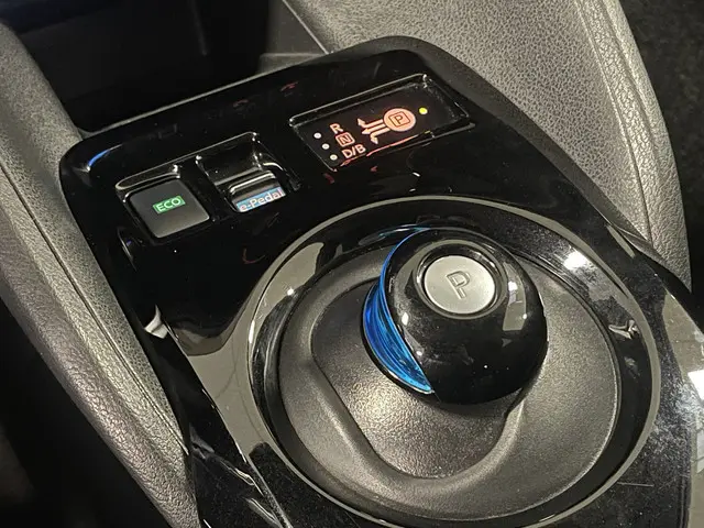 Nissan Leaf N-Connecta 40 kWh 2020 Elektrisch 20