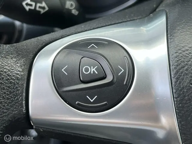Ford Grand C-Max 1.0 Ambiente 2013 Benzine 11