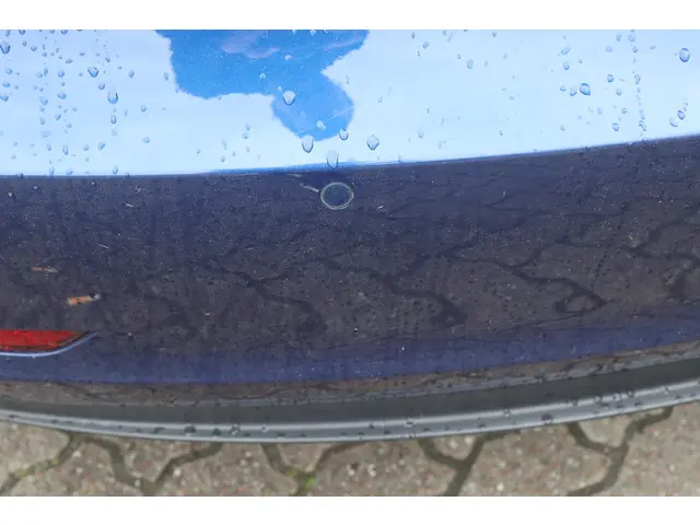 Tesla Model 3 Long Range AWD 75 kWh 2019 Elektrisch 18