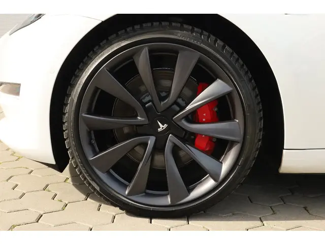 Tesla Model 3 Performance AWD 75 kWh 2019 Elektrisch 10