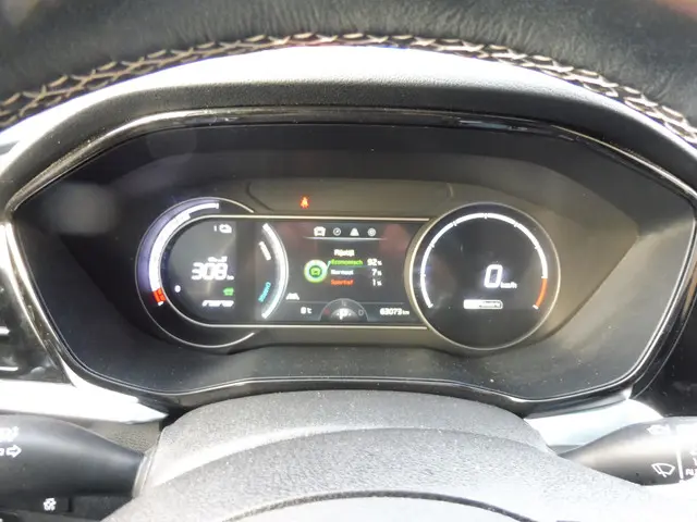 Kia e-Niro DynamicPlusLine 64 kWh 2021 Elektrisch 14