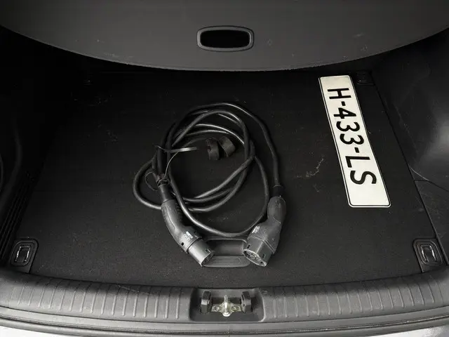 Kia e-Niro ExecutiveLine 64 kWh 2020 Elektrisch 8