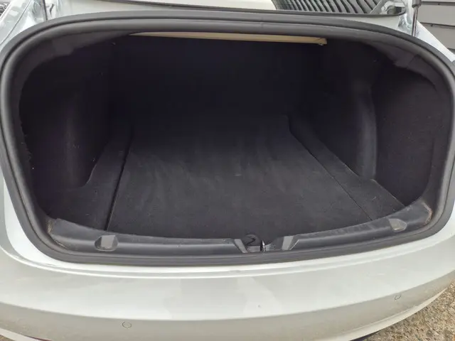 Tesla Model 3 Standard RWD Plus 60 kWh 2019 Elektrisch 7