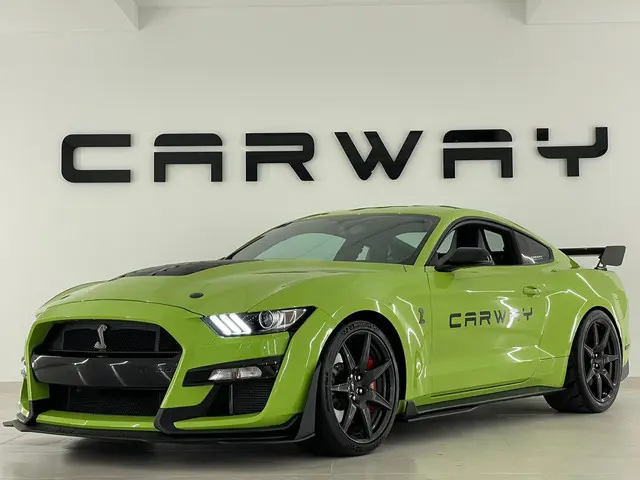 Ford Mustang Shelby GT350 EINDEJAARSACTIE 2017 Benzine 24